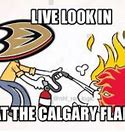 Image result for Calgary Flames Memes