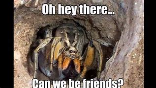 Image result for Big Scary Spider Meme