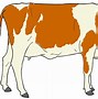 Image result for cow clip art