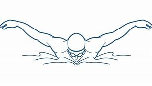 Image result for Swimmer Line Art