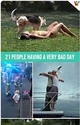 Image result for People Having a Bad Day Funny