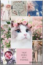 Image result for Cat Mood Board