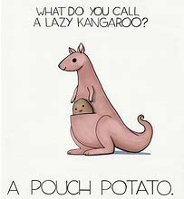 Image result for Funny Puns