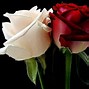 Image result for Flowers of Love Images