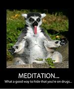 Image result for Funny Meditation Quotes