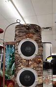 Image result for Speaker Inside a Log