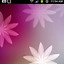 Image result for Live Wallpaper for Cell Phones