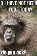 Image result for Have a Great Day Yoga Meme