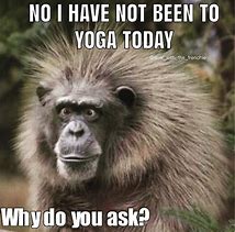 Image result for Zen Monkey Meme