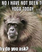 Image result for Dirty Yoga Memes 2019