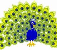 Image result for Peacock Drawing Outline Clip Art