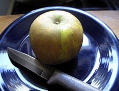 Image result for 20 Pounds of Apple's