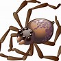 Image result for Brown Spider Cartoon