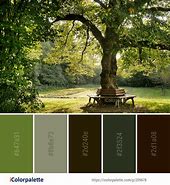 Image result for Nature Color Theme