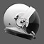 Image result for Globe Space Helmet