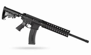 Image result for Best 22LR AR Style Rifle