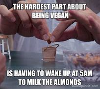 Image result for Vegan Dark Memes