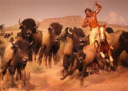 Image result for Great Plains Native American Hunting