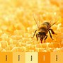 Image result for Shades of Yellow Color Names