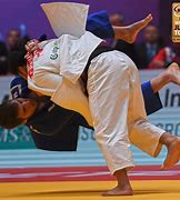 Image result for Judo Master
