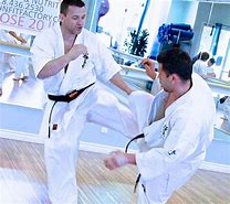 Image result for Adult Karate