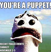 Image result for Shocked Puppet Meme
