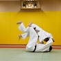 Image result for Japanese Martial Arts Clothing
