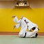 Image result for Asian Martial Arts Expert