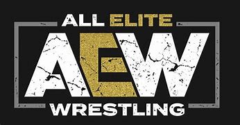 Image result for All Elite Wrestling Video Game