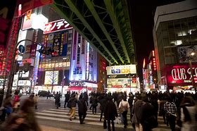 Image result for Akihabara Japan Attractions