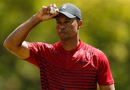 Image result for Who Is Tiger Woods
