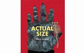 Image result for Actual Size Steve Jenkins Tiger