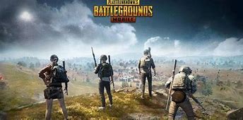 Image result for Pgs1 Pubg