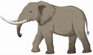 Image result for Large Elephant Cartoon