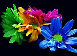Image result for Blue Flower Screensavers and Wallpaper