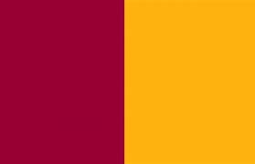 Image result for University of Arizona School Colors