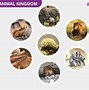 Image result for How Many Animals Are There