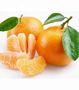 Image result for 2 Mandarin Orange
