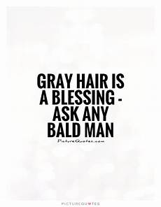 hair quotes grey hair quotes quotesgram hair quotes grey hair quotes quotesgram