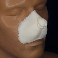 Image result for Mouse Nose Prosthetic