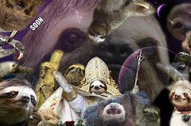 Image result for Funny Sloth Desktop