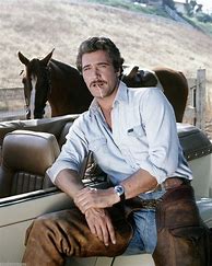 Image result for Lee Horsley Actor Movies