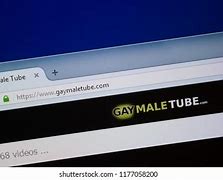 Image result for gaymaletube.club