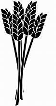 Image result for Grain Vector Black and White