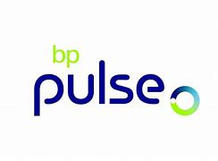 Image result for Buckingham's Pulse Charger Photo