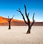 纳米布沙漠 的图像结果