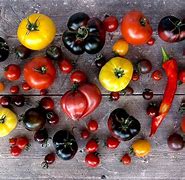 Image result for Tomato Variety List