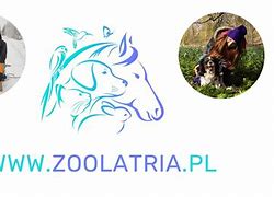 Image result for co_to_znaczy_zoolatria
