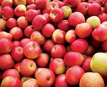 Image result for Spiti Apple's