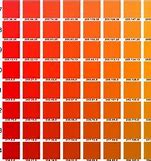 Image result for Iphpme 7 Colors